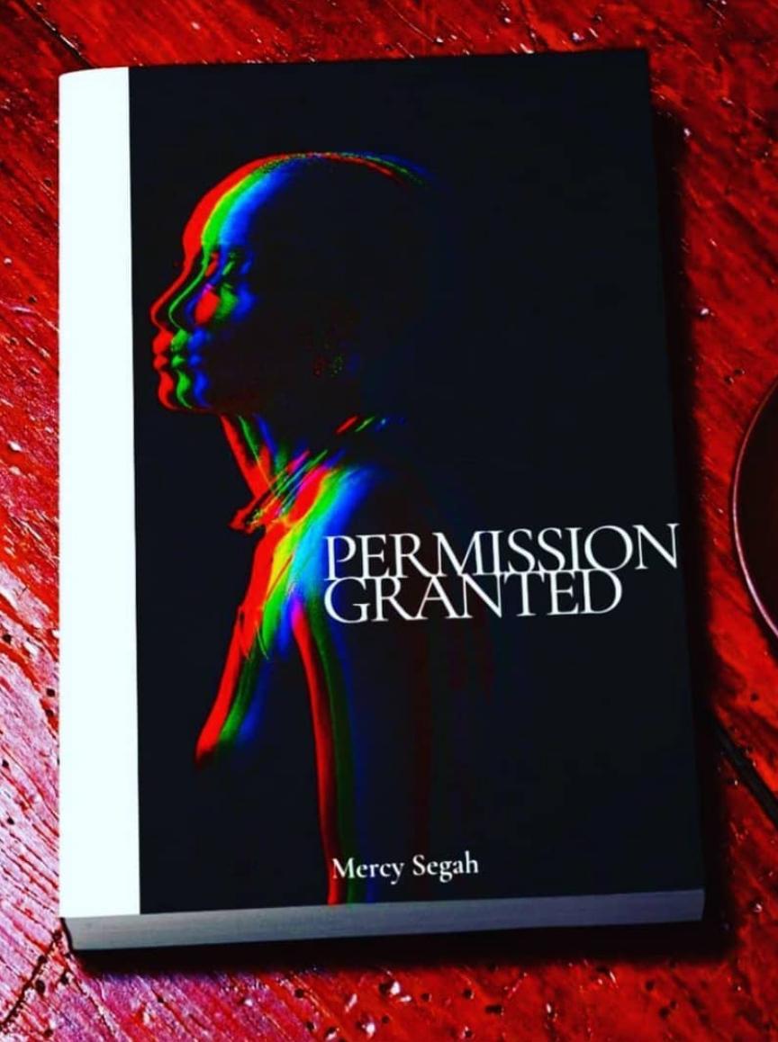 Permission Granted Book